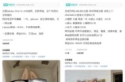 事业顺景闲鱼：LABUBU搜索量环比上涨1000%，供不应求下现租赁新形式