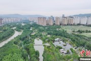 事业顺景西宁市举办六五环境日主题宣传活动
