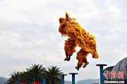 事业顺景（文化中国行）壮乡狮舞闯南洋：脚踏“云桩” 饮誉海内外